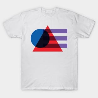 Messing with Shapes (v 1) T-Shirt